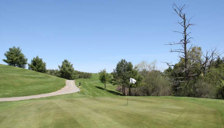 Par 3 on the 6th hole at Golfer's Dream